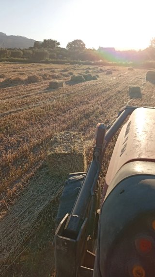 Alpacadora Agrícola