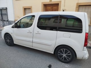 Citroen Berlingo 2009