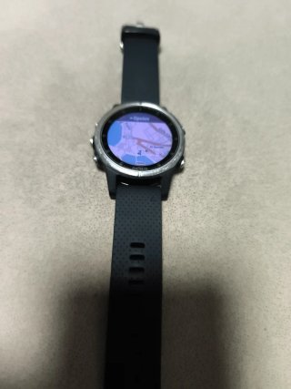 Garmin Fenix 5S Plus Negro/Plata