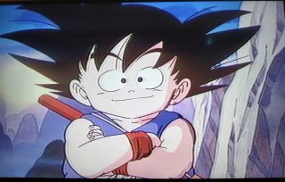 DVD Dragon Ball Anime