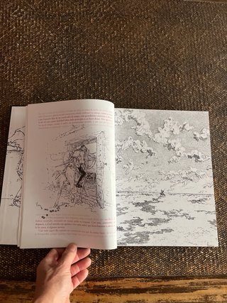 El Quijote ilustrado Vierge solo 2000 ejemplares