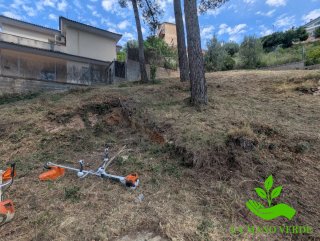Desbroce | Limpieza de Terrenos | Jardinero