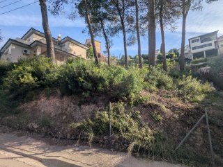 Desbroce | Limpieza de Terrenos | Jardinero