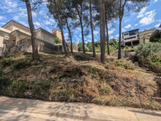 Desbroce | Limpieza de Terrenos | Jardinero