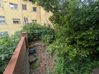 Desbroce | Limpieza de Terrenos | Jardinero