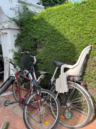 Bicicleta Trek y bicicleta paseo BOlero con silla