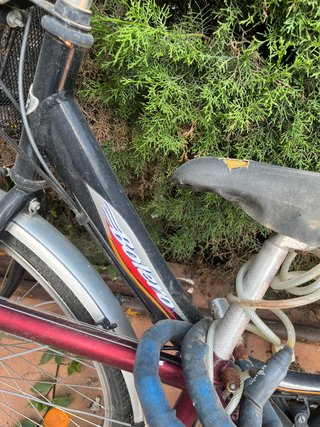 Bicicleta Trek y bicicleta paseo BOlero con silla
