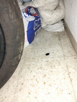 1- Neumático 225/55 R17