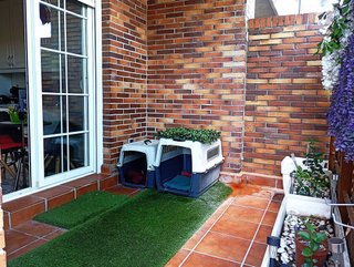 Casa en alquiler en Zona Carretera del Plantío en Majadahonda