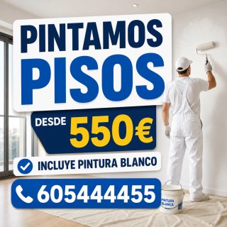 Pintores , pintor Economico