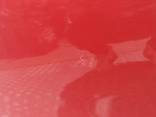 PUERTA TRASERA DERECHA OPEL CORSA F HN05 S / R