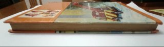 Libro Los Hollister y el misterio del centro (1978