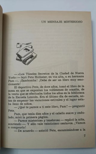 Libro Los Hollister en Nueva York (1989)