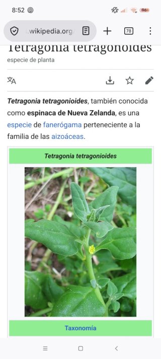 Planta gratis x 2 artículos