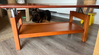 Mesa de centro elevable de madera