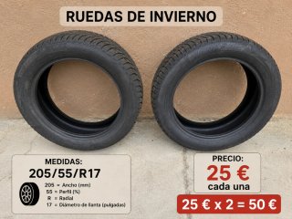 Neumáticos Invierno 195/65 R15