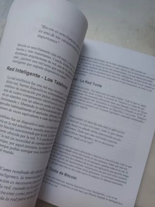 Libro El internet del dinero