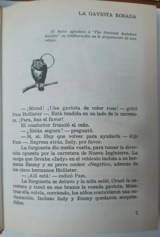 Libro Los Hollister y el misterio del caballo 1985