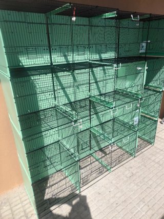 Voladeras Jaulas 2gr 90cm Comunicables