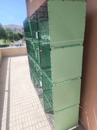 Voladeras Jaulas 2gr 90cm Comunicables