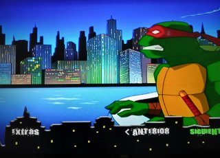 DVD Tortugas Ninja Dibujos Animados Español
