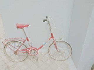 Bicicleta plegable roja