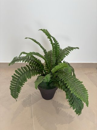Planta de helecho artificial verde