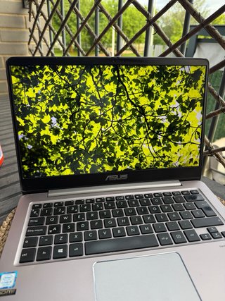 Asus Zenbook 20GB RAM