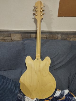 Epiphone Sheraton II