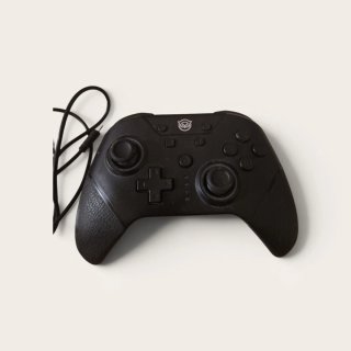 Nintendo Switch 2019 + 2 Pro Controller