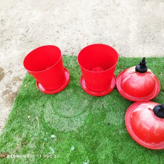 Bebederos y comederos para gallinas y pollos