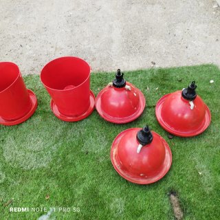 Bebederos y comederos para gallinas y pollos