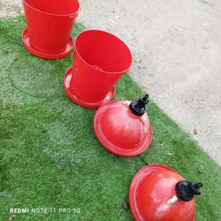 Bebederos y comederos para gallinas y pollos
