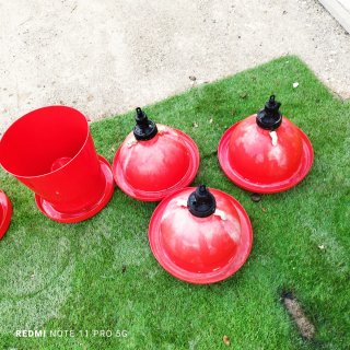 Bebederos y comederos para gallinas y pollos