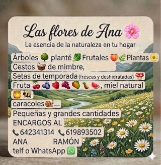 Flores plantas árboles...