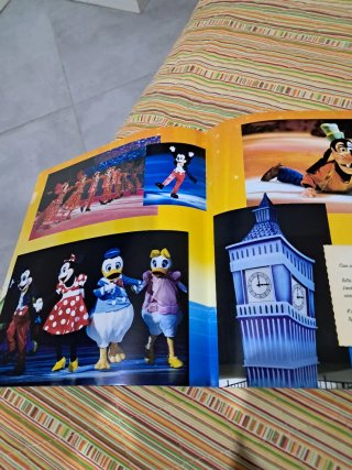 Brochure Disney On Ice & Principesse