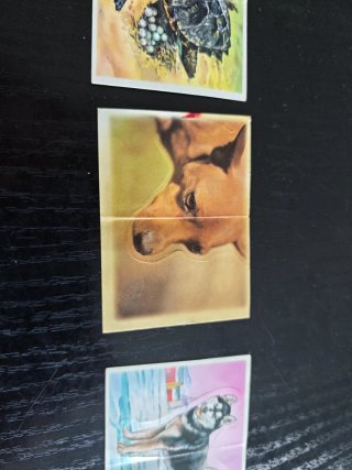 Lote de 3 cromos de animales