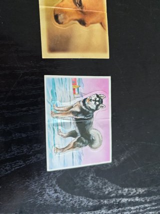 Lote de 3 cromos de animales