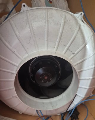 Extractor pequeño