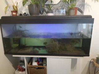 Acuario grande. 240 litros.