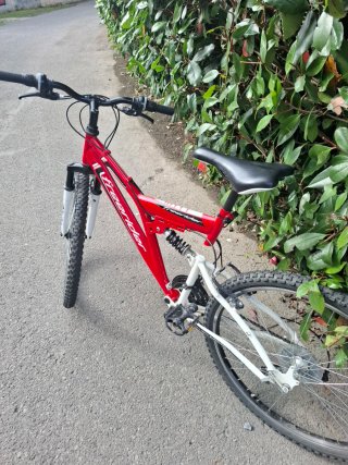 Bicicleta 26 MTB Doble Suspensión-C.Shimano.
