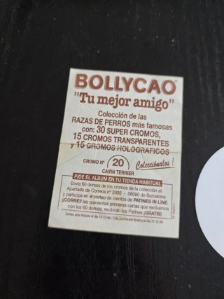 Lote de cromos variados