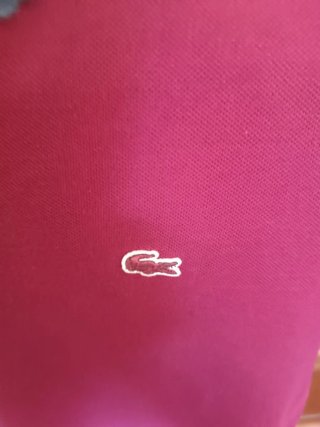 Polo Lacoste Mujer Talla XS