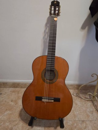 Guitarra Española Clásica
