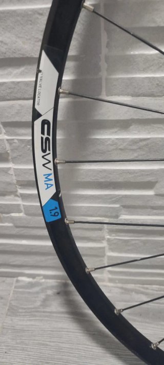 Llantas DT Swiss 29"