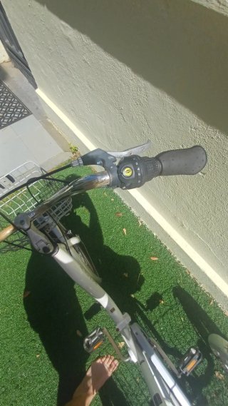 Triciclo Monty con 2 cestas