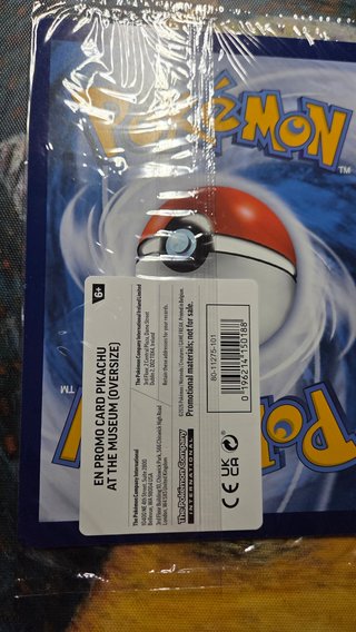 Promo pikachu Van Gogh!! Natural Museum 2026