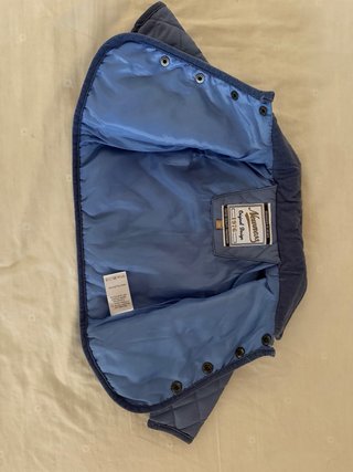 Cazadora Husky bebé azul