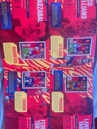 Álbum Selección Española 2024 Panini