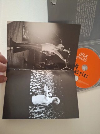 DVD Dave Gahan Live + Monsters